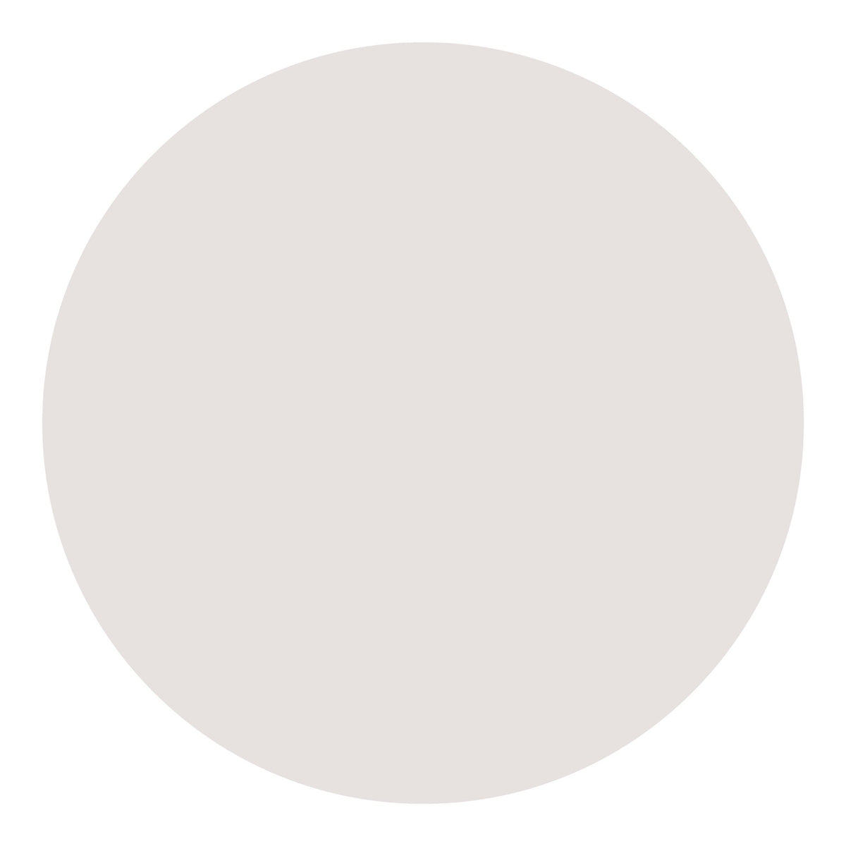 Classic White Touch-Up Paint
