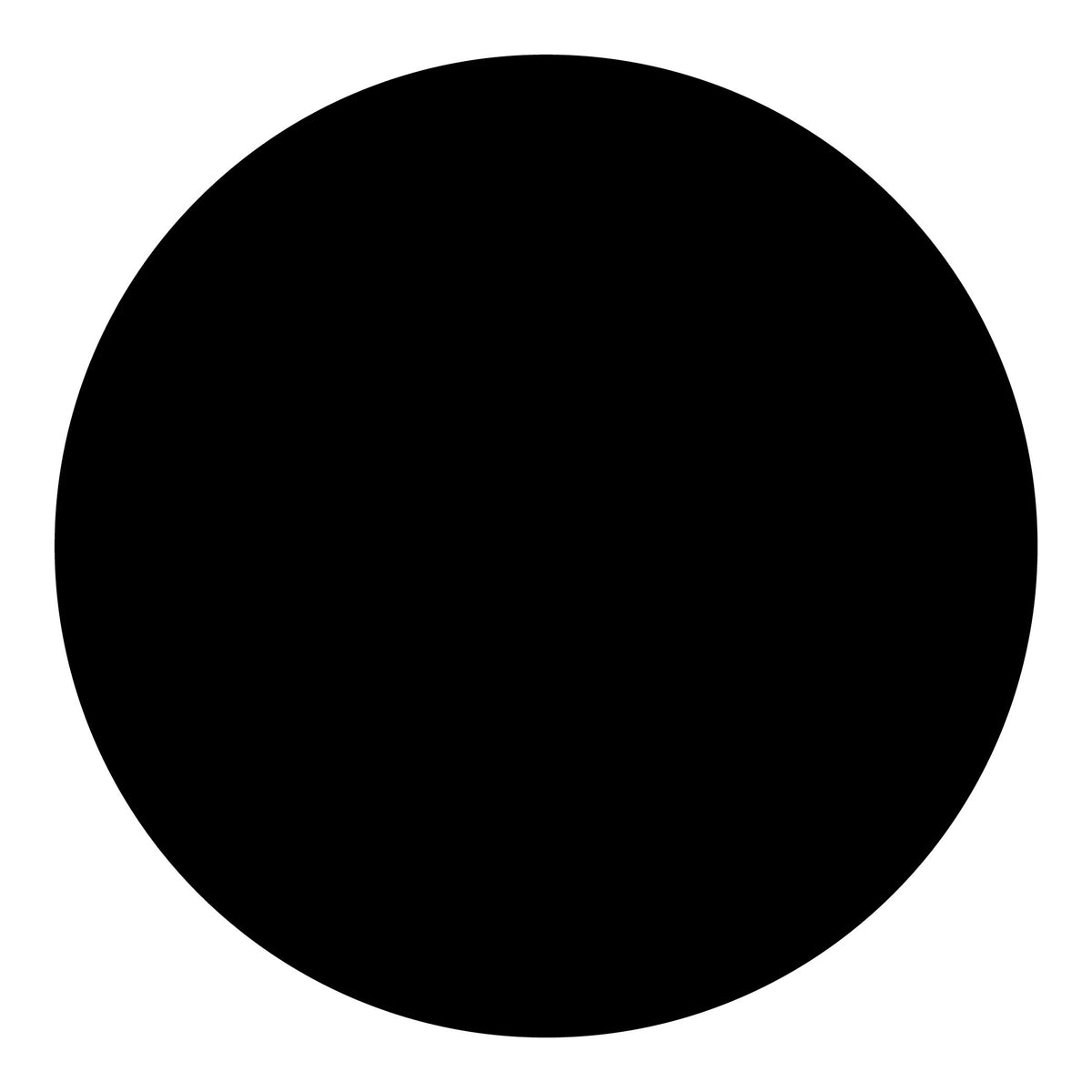 True Black Touch-Up Paint